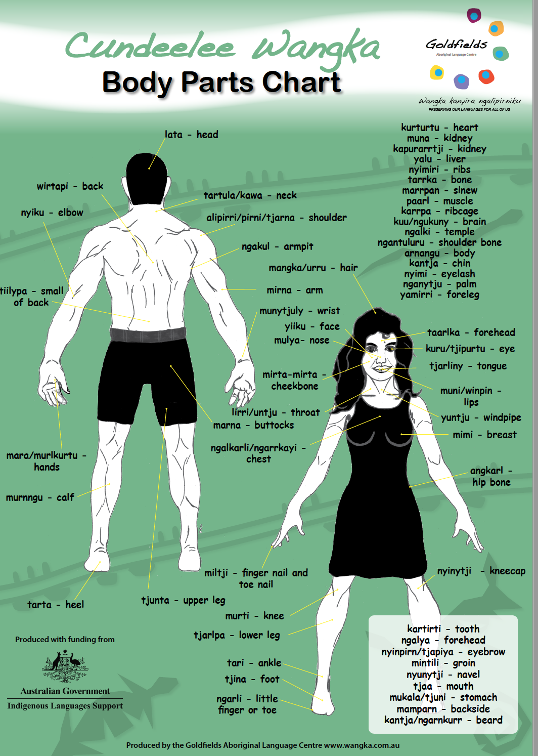 New Cundeelee Wangka Body Parts Chart :: Goldfields Aboriginal Language